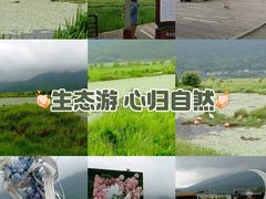 -腾冲北海湿地