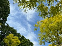 -北京奥林匹克公园