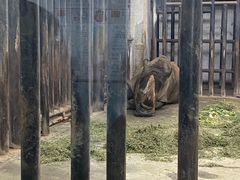 -新疆天山野生动物园