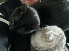 -爱侣宠医·鹦鹉专科·小型哺乳类·异宠专科(灵石路店)