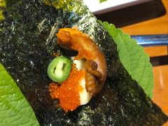-红辣椒八爪鱼特色韩国料理