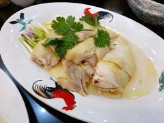金牌家乡盐水鸡-红星光发煲仔饭(文海店)