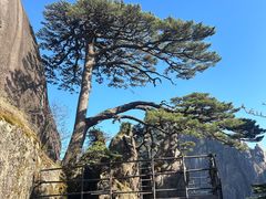 -巧手推拿中心(盲人推拿)