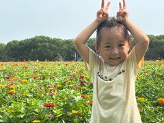 -苏州太湖西山岛开心农场