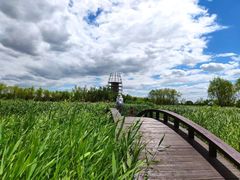 -永定河休闲森林公园
