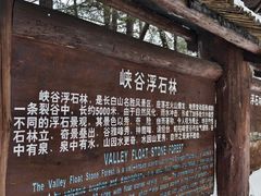 -峡谷浮石林景区