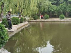 -咸阳湖景区-古渡公园