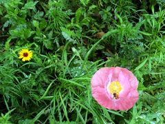 -桤木河湿地公园