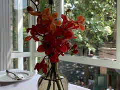 -蝶舍·MAISON PAPILLON