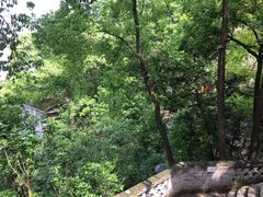 -南山植物园