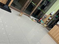-瑞鹏宠物医院·夜间急症·心超·猫科(祖庙分店)