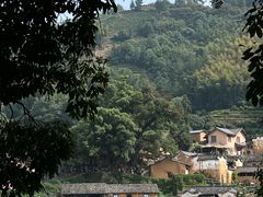 -杨家堂村