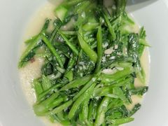 -鸽子侯·家宴·平价海鲜(绿地店)