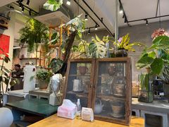 -青莯_Percher Coffee Shop(皮市街店)