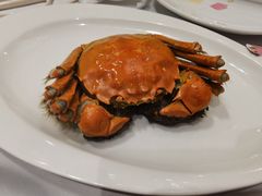 -圣丰盛宴酒家(东城店)