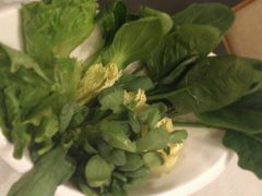 蔬菜拼盤-商汤天下