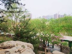 -西海子公园