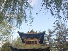 -迎泽公园