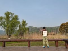 -长广溪湿地公园