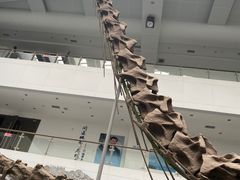 -中国地质大学逸夫博物馆