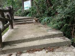 -黄陂区野村谷景区