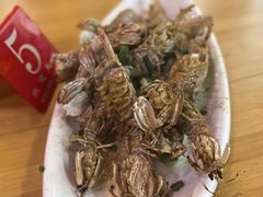 -枸杞岛