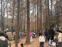-白水寺森林公园