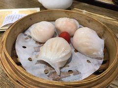 金牌虾饺皇-赏点粤式点心(广州塔店)