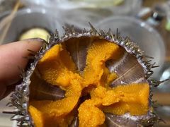 -海胆小馆(东北水饺·春柳店)