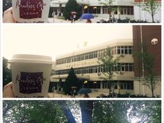 -泊星地咖啡馆(北京大学家园店)