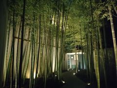 -穹六人间 people 6(岳阳路店)