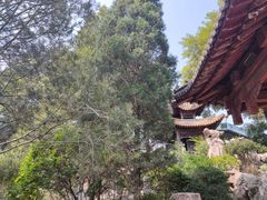 -碑林公园