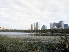 -洛龙公园
