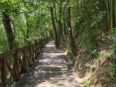 -广州市流溪河国家森林公园