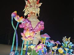 -武汉园博园(武汉自然博物馆)