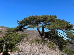 -妙峰山风景名胜区
