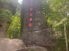 -汤旺河林海奇石景区