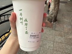 -一树一叶·福建茶档(石鼓路店)