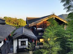 -大唐贡茶院