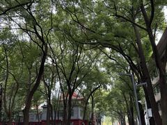 -四川大学(望江校区)