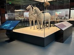 -淮安市博物馆