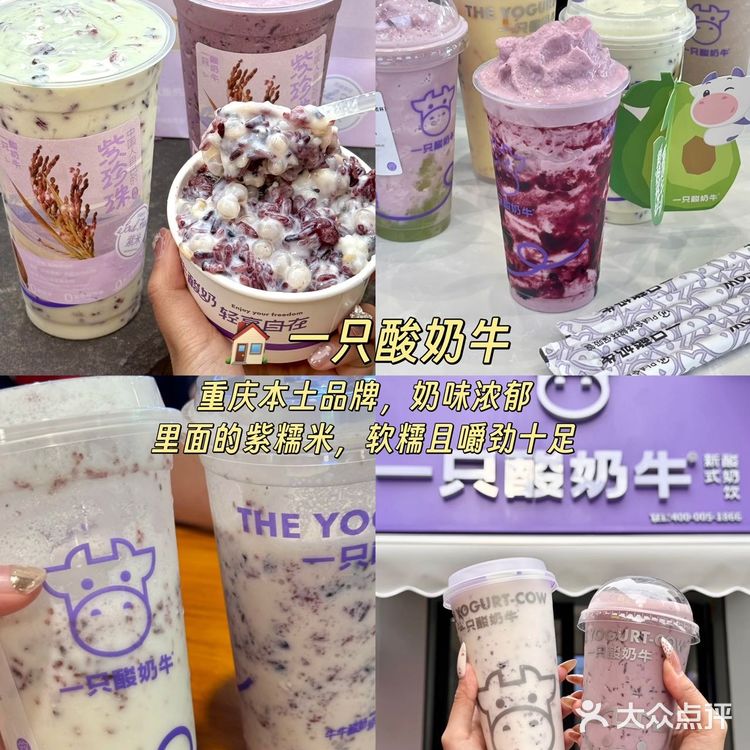 重庆本地人带路！！绝不踩雷美食合集！！！