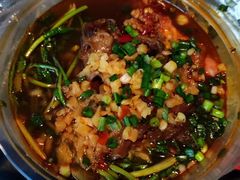 -胖子水煮(铁路三村无任何分店)