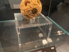 -广西壮族自治区博物馆