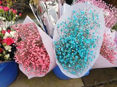 -金科花卉市场