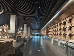 -大庆市博物馆