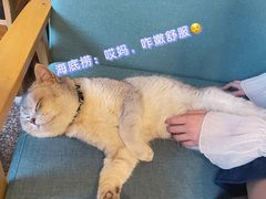 -她说户外烧烤团建(西湖店)