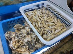 -公寓家常菜馆(海军博物馆店)