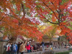 -青岛崂山太清宫