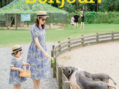 -前小桔亲子创意农场·草莓采摘·露营烧烤